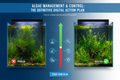 Algae Management & Control: The Definitive Digital Action Plan
