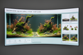 Freshwater Aquascaping: Digital Gallery & Step-by-Step Design Guide