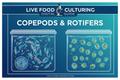 Live Food Culturing: Digital Guide to Copepods & Rotifers
