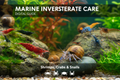 Marine Invertebrate Care: The Digital Guide to Shrimps, Crabs & Snails