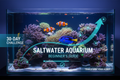 The Saltwater Beginner’s Fast-Track: 30-Day Digital Transformation

